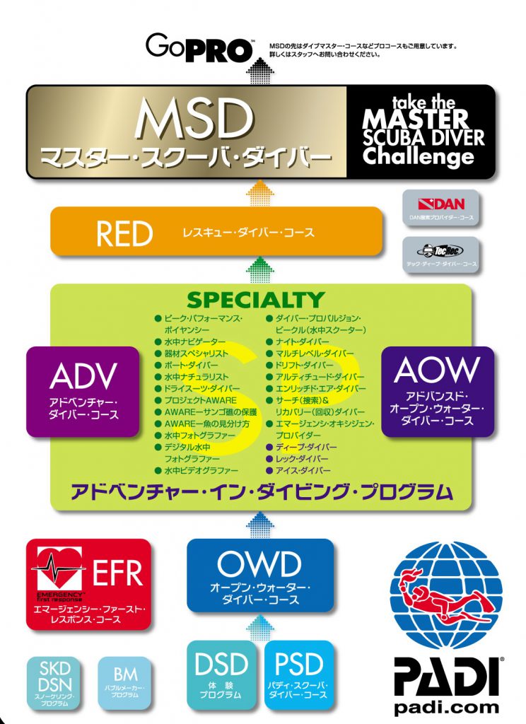 ダイビングショップ海家ステップアップの流れ図